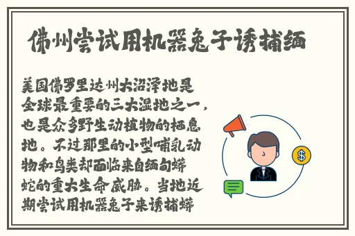 果冻传媒2021精品亚瑟